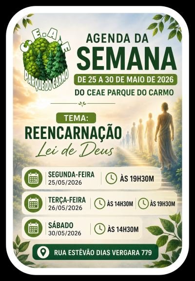 Reencarnação lei de Deus